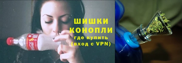 твердый Горнозаводск