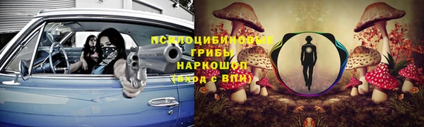 ПСИЛОЦИБИНОВЫЕ ГРИБЫ Алексеевка